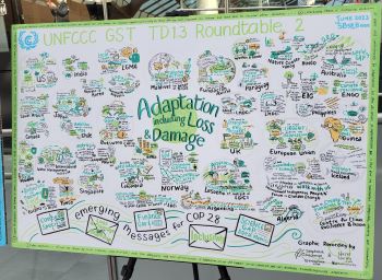 Photo of message board on Adaptation including Loss & Damage at the Bonn SB58 UN Climate Change Meeting