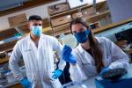 Students working in a lab