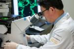 Individual looking into a microscope with image on a computer screen