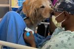 Darren Colbert in his hospital bed with a companion dog