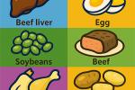 A colorful infographic of food high in choline, including beef liver, egg, soybeans, beef, chicken, potatoes, milk and fish.