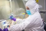 GMP lab