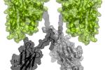 Two green blobs with a scribbled gray circle under them. 