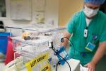 Kidney in box with sign that says left kidney