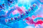 Illustration of microRNA