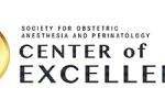 SOAP Center of Excellence logo