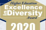 Diversity award