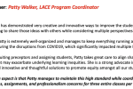 Values in Action Award screeshot of Powerpoint text (full text in article)