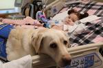 Alaina Daniels laying in a hospital bed with a companion dog