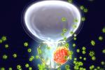Bone biomarker