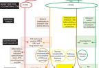 Infographic showing approach to treating congenital syphilis