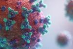 Covid coronavirus