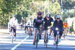 Group of cyclists