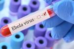 Ebola virus test