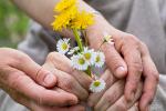 Hands with bouquet of flowers