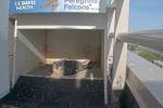 Mother falcon sits on eggs in the hutch atop the UC Davis medical center