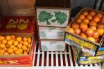 A refrigerator shelf filled with boxes of oranges, grapefruits and vegetables.