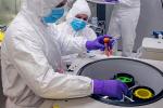 Three individuals in full protective gear working in the Good Manufacturing Practice facility