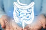 white drawing of large and small intestine floating between two open hands. 