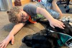 A young boy with brown curly hair, wearing a gray shirt and shorts, lays on the floor next to a black Labrador retriever, petting his fur. 