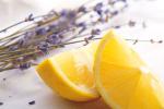 Fresh lemon and lavender on a white background