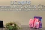 Lung plushie on Comprehensive Cancer Center counter