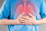 Illustration of inflamed lungs in torso, respiratory infection, pneumonia on gray background; painful area highlighted in red.