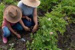 Mother and daughter harvesting the land