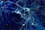 Neuron cells on a blue background