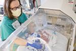 Doctor looks at baby in isolette in NICU