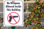 A sign that reads “no weapons allowed” with a gun with a red line through it is nailed to a post near a tree. 