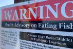 A red, black and white metal sign hangs on a wooden post near a waterway. It says Warning- health advisory on eating fish -PCBs in Potomac River Basin