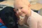 Young hairless female hugging a black lab support dog.