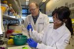 Two researchers in lab coats work in a lab on an experiment.