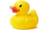 Yellow rubber duck