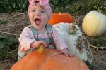 Scarlett at pumpkin patch this fall. 