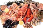 different seafood items including shrimps, mussels, crabs and lobsters