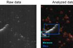 Two black and white images with scattered grey spots. Image on left has red boxes around each grey spot.