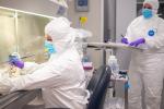 Stem Cell CAR-T lab
