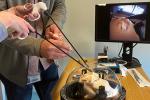 Demonstration of a model for training pediatric surgeons on fetoscopic repair. 
