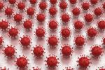Rows of red virus balls