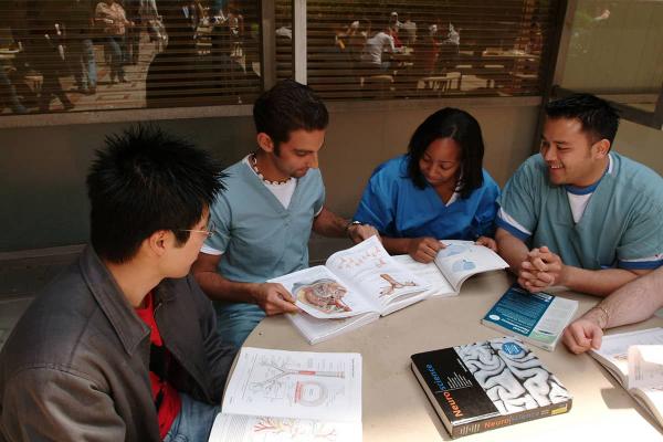 UC Students Studying