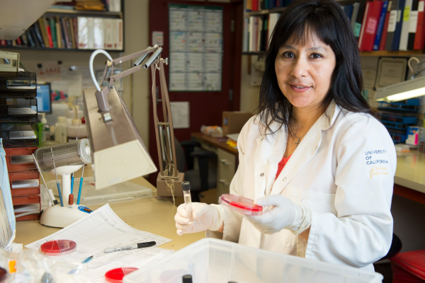 image of a UC Davis researcher holding a petri dish