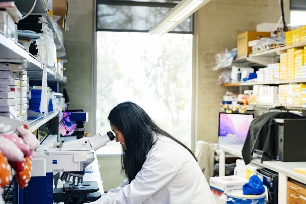 researcher looking through a microscope 