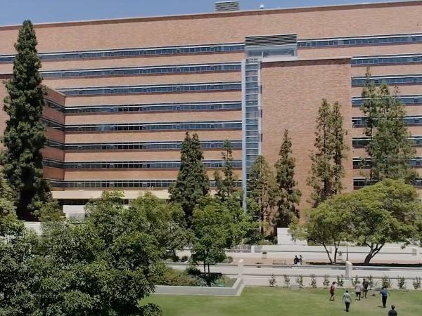 Medicine | University Of California Health