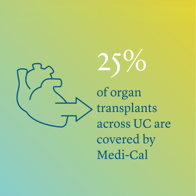 Icon of a human heart with an arrow and text saying 25 percent of organ transplants across UC are covered by Medi-Cal over a yellow and blue gradient background