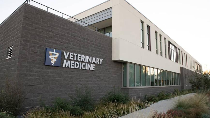 Davis hot sale vet clinic