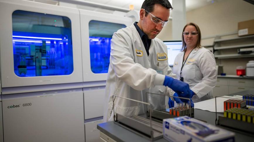 Researchers working in a lab