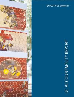 UC Accountability Report 2020