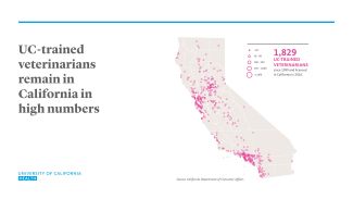 UCH-Trained Veterinarians in California Map